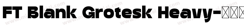 FT Blank Grotesk Heavy字体转换